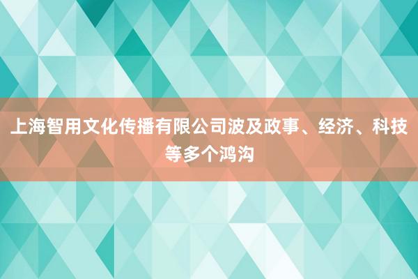 上海智用文化传播有限公司波及政事、经济、科技等多个鸿沟