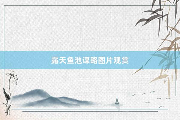 露天鱼池谋略图片观赏