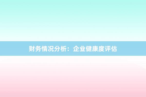 财务情况分析：企业健康度评估