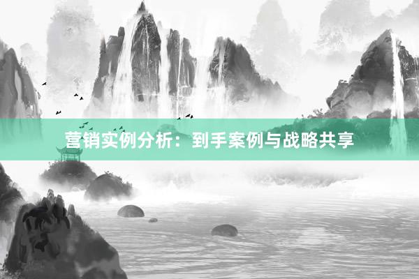 营销实例分析：到手案例与战略共享